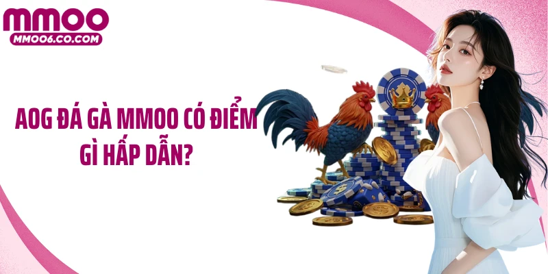 AOG đá gà MMOO có điểm gì hấp dẫn?