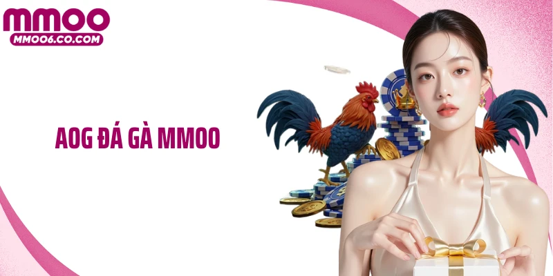 AOG Đá Gà MMOO: Tâm Điểm Trận Đấu Kịch Tính Không Thể Bỏ Lỡ