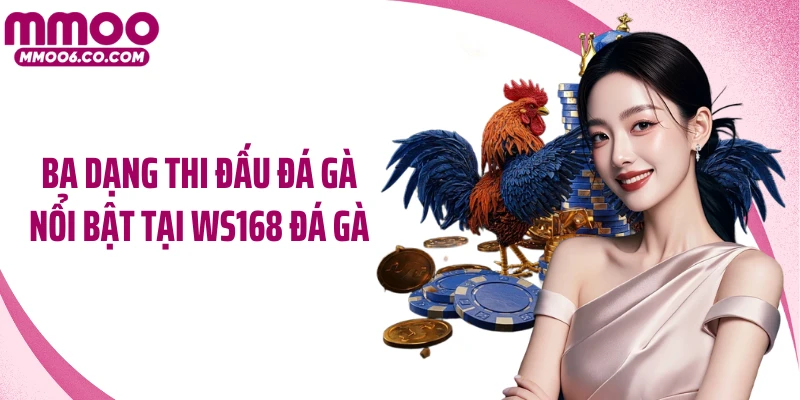 Ba dạng thi đấu đá gà nổi bật tại Ws168 đá gà
