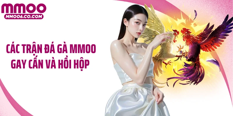 Các trận đá gà MMOO gay cấn và hồi hộp 