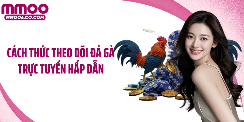 Cách thức theo dõi đá gà trực tuyến hấp dẫn