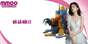 Đá Gà Nòi C1 - Đỉnh Cao Chiến Kê, Mãn Nhãn Từng Pha Ra Đòn