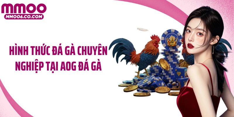 Hình thức đá gà chuyên nghiệp tại AOG đá gà