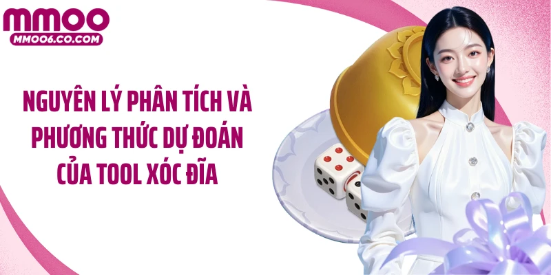 Nguyên lý phân tích và phương thức dự đoán của tool xóc đĩa