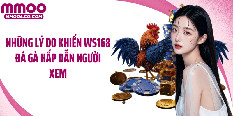 Những lý do khiến Ws168 đá gà hấp dẫn người xem