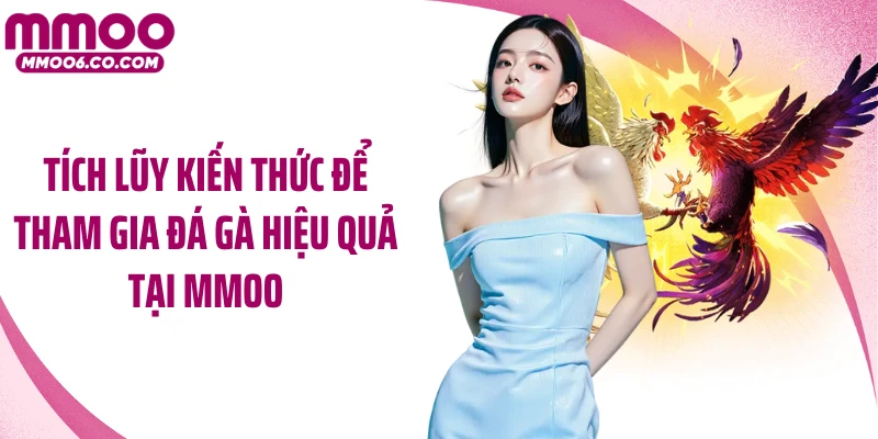 Tích lũy kiến thức để tham gia đá gà hiệu quả tại MMOO